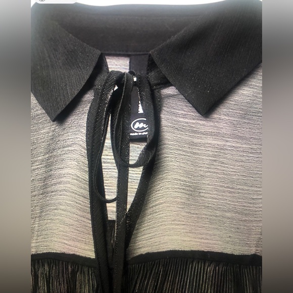 BLACK Pleated Sheer Poet-Sleeve Top (NWT-New!) - Picture 2 of 4